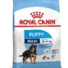 Royal Canin Hondenvoer Maxi Puppy 4 Kg