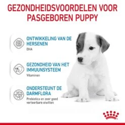 Royal Canin Hondenvoer Babydog Milk 400 Gr -Hondenseries Winkel 3182550768658 3