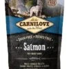 Carnilove Hondenvoer Salmon Adult 1,5 Kg