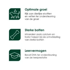 Premium Care Original Puppy Medium Chicken & Rice 12 Kg -Hondenseries Winkel Puppy Medium iconen