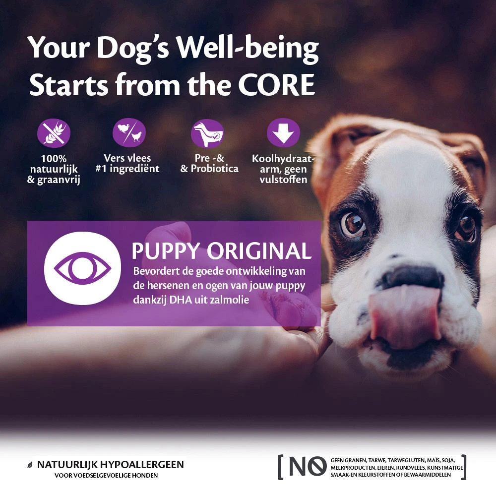 Wellness CORE Hondenvoer Puppy 1,5 Kg - Afbeelding 2