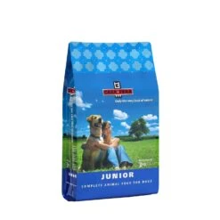 Hondenseries Winkel -Hondenseries Winkel casa fera casa fera junior 1