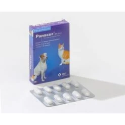 MSD Animal Health Panacur KH - 10 Tabletten