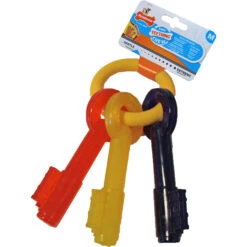 Nylabone Nylabone Puppy Chew Teething Key M