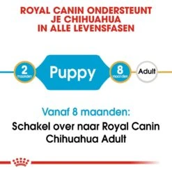 Royal Canin Hondenvoer Chihuahua Puppy 1,5 Kg -Hondenseries Winkel royal canin chihuahua junior pup hond chihuahua hero image 9