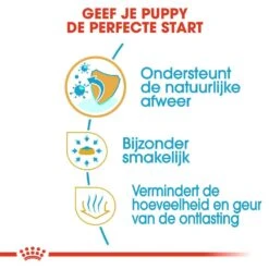 Royal Canin Hondenvoer Chihuahua Puppy 1,5 Kg -Hondenseries Winkel royal canin chihuahua junior pup hond chihuahua hero usp