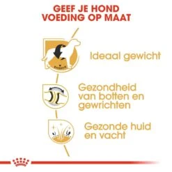 Royal Canin Hondenvoer Labrador Retriever Adult 12 Kg -Hondenseries Winkel royal canin labrador retriever adult volwassen hond labrador retriever vanaf 15 maanden hero usp