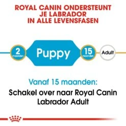 Royal Canin Hondenvoer Labrador Retriever Puppy 12 Kg -Hondenseries Winkel royal canin labrador retriever junior pup hond labrador retriever hero image 9