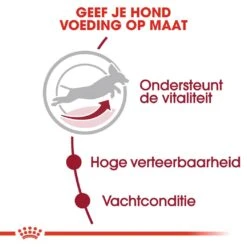 Royal Canin Hondenvoer Medium Adult 7+ 15 Kg -Hondenseries Winkel royal canin medium adult 7plus volwassen hond middelgrote hondenrassen vanaf 7 jaar hero usp