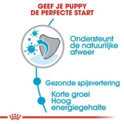 Royal Canin Hondenvoer Medium Puppy 4 Kg -Hondenseries Winkel royal canin medium puppy pup hond middelgrote hondenrassen hero usp