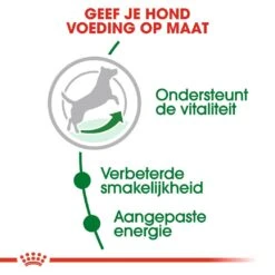 Royal Canin Hondenvoer Mini Adult 8+ 4 Kg -Hondenseries Winkel royal canin mini adult 8plus volwassen hond kleine hondenrassen vanaf 8 jaar hero usp 1