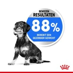 Royal Canin Hondenvoer Light Weight Care Mini 3 Kg -Hondenseries Winkel royal canin mini light weight care volwassen hond gezond gewicht kleine hondenrassen hero usp