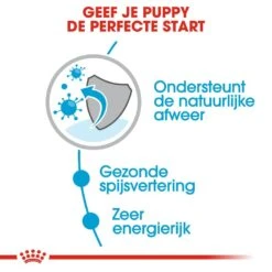 Royal Canin Hondenvoer Mini Puppy 12 X 85 Gr -Hondenseries Winkel royal canin mini puppy natvoer hond kleine hondenrassen hero usp