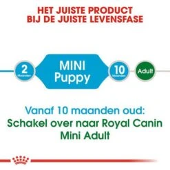 Royal Canin Hondenvoer Mini Puppy 2 Kg 7 Royal Canin Hondenvoer Mini Puppy 2 Kg -Hondenseries Winkel royal canin mini puppy pup hond kleine hondenrassen hero image 8 1