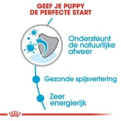 Royal Canin Hondenvoer Mini Puppy 4 Kg -Hondenseries Winkel royal canin mini puppy pup hond kleine hondenrassen hero usp