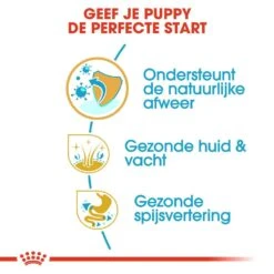Royal Canin Hondenvoer Shih Tzu Puppy 1,5 Kg -Hondenseries Winkel royal canin shih tzu junior pup hond shih tzu hero usp