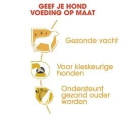 Royal Canin Hondenvoer Yorkshire Terrier Adult 1,5 Kg -Hondenseries Winkel royal canin yorkshire terrier adult volwassen hond yorkshire terrier vanaf 10 maanden hero usp